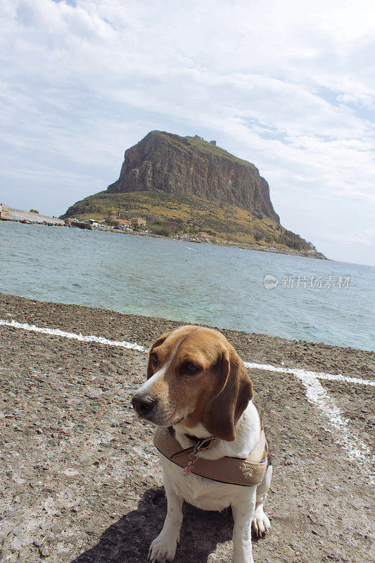 狗狗观光- Monemvasia